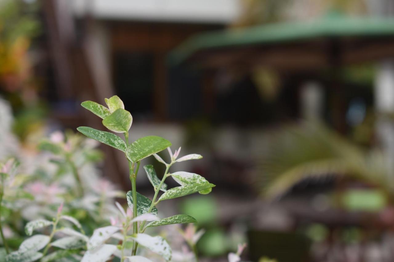 Hotel San Vicente Galapagos Puerto Villamil Dış mekan fotoğraf